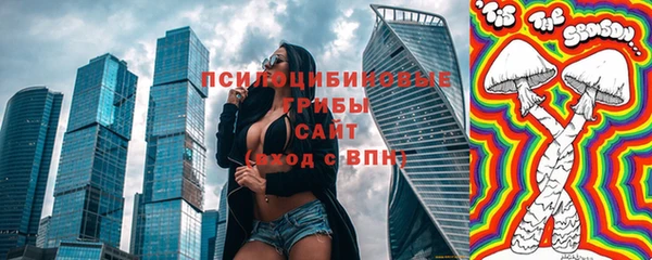 PSILOCYBIN Куйбышев